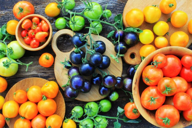 grocery produce manager checking real-time inventory levels during summer produce season